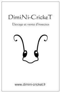 DimiNi-CrickeT a également pour vocation de s'inscrire dans une dynamique de consommation éco-responsable, en ce qui concerne l'alimentation humaine.