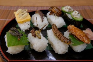 Sushi d'insectes comestibles biologiques