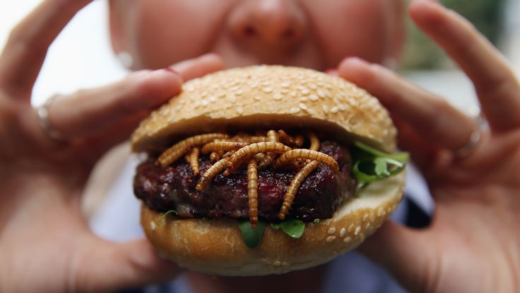 Les insectes peuvent être manger à toutes les sauces